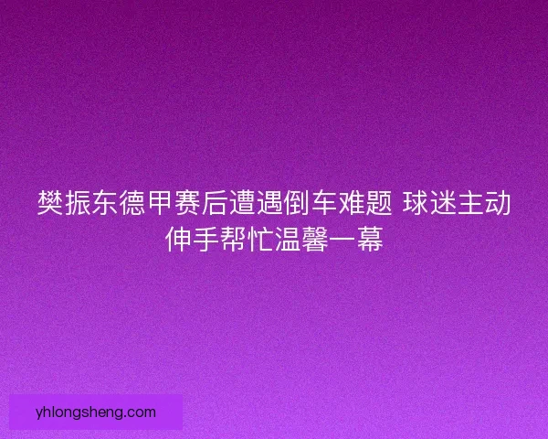 樊振东德甲赛后遭遇倒车难题 球迷主动伸手帮忙温馨一幕 樊振东德甲赛后遭遇倒车难题 球迷主动伸手帮忙温馨一幕